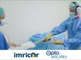 Imricor Medical Systems