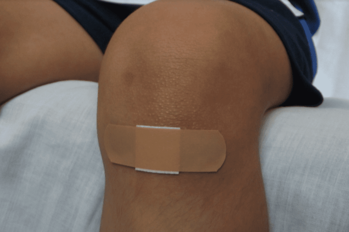 Bites And Stings: How To Make Sure Your Bite Wound Is Not Infected