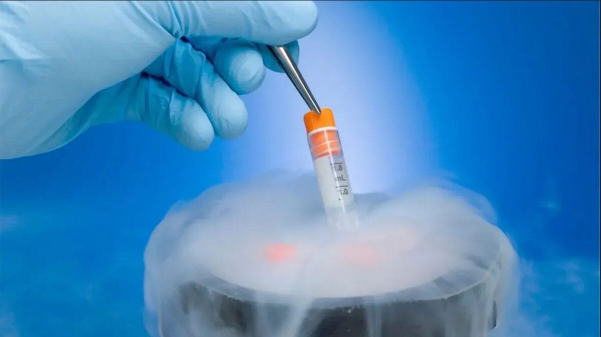 Here's What You Need to Know About Cryopreservation