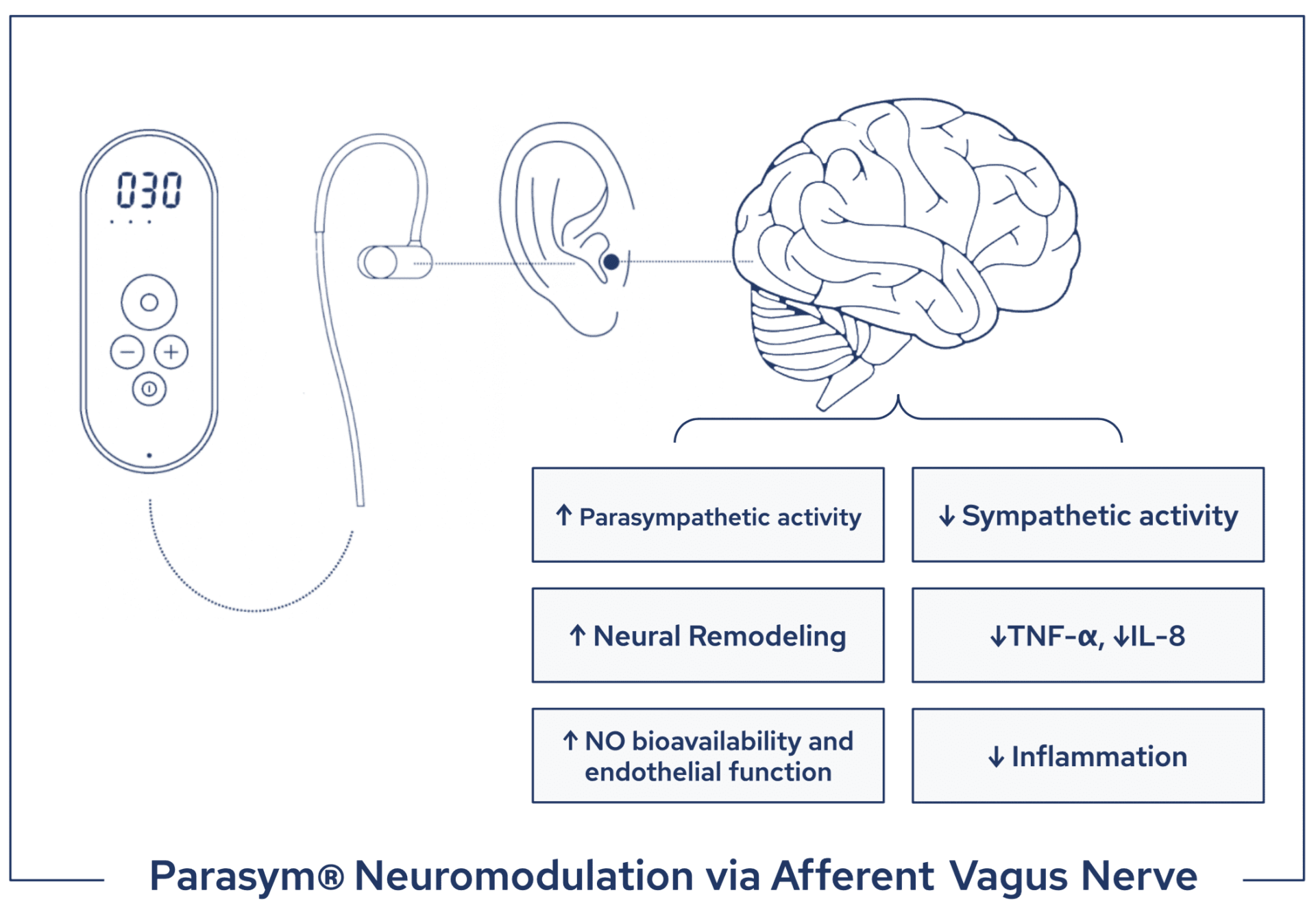 Parasym Neuromodulation via Afferent Vagus Nerve