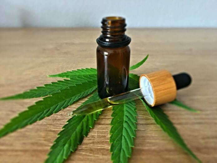 CBD Oil: Should You Fear Having It Show Up on a Drug Test?