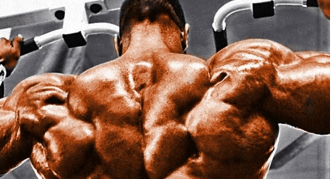 Legal Steroids For Sale Where to Buy Legal Steroids Online